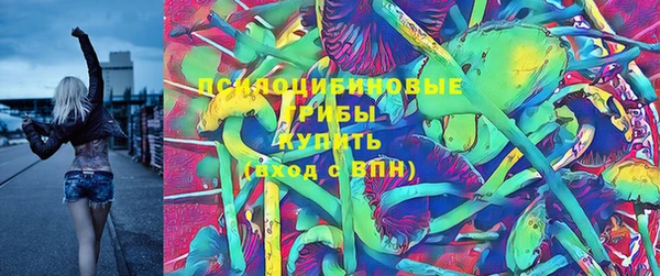 spice Киренск