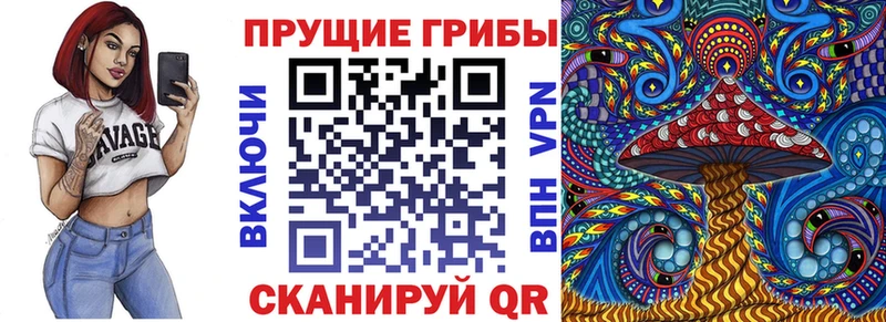 Псилоцибиновые грибы GOLDEN TEACHER  Купить закладки  Верхний Уфалей 