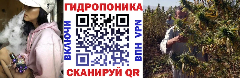 Бошки Шишки конопля  Купить закладки  Верхний Уфалей 